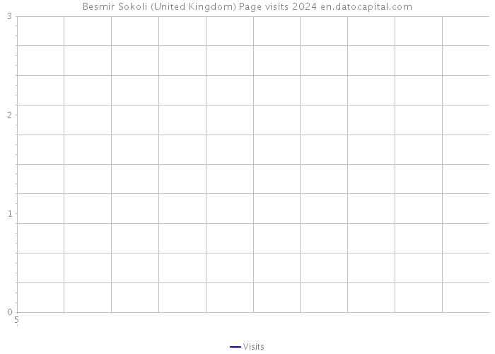 Besmir Sokoli (United Kingdom) Page visits 2024 