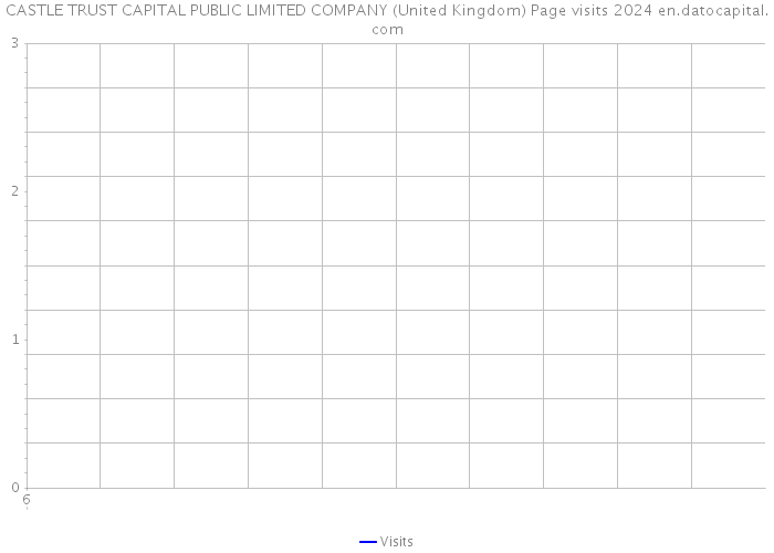 CASTLE TRUST CAPITAL PUBLIC LIMITED COMPANY (United Kingdom) Page visits 2024 