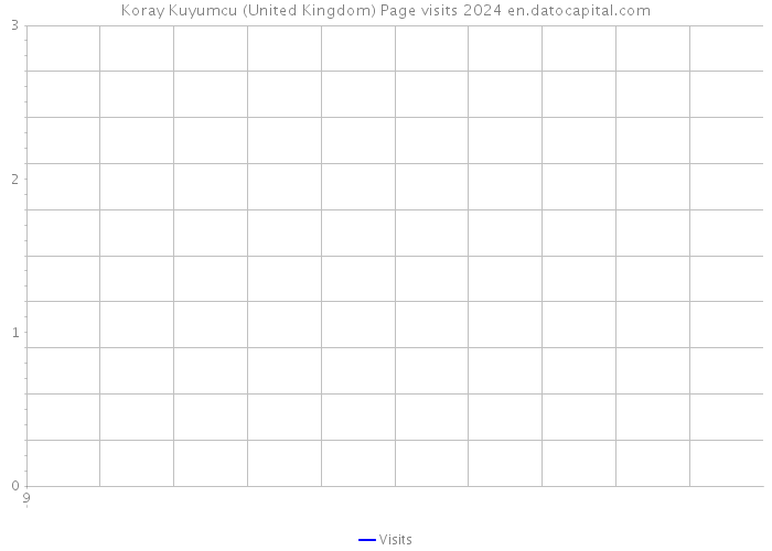 Koray Kuyumcu (United Kingdom) Page visits 2024 