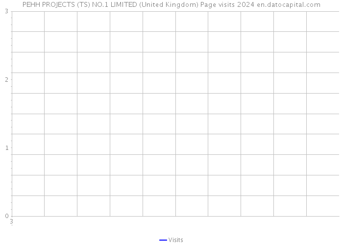 PEHH PROJECTS (TS) NO.1 LIMITED (United Kingdom) Page visits 2024 