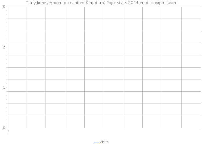 Tony James Anderson (United Kingdom) Page visits 2024 