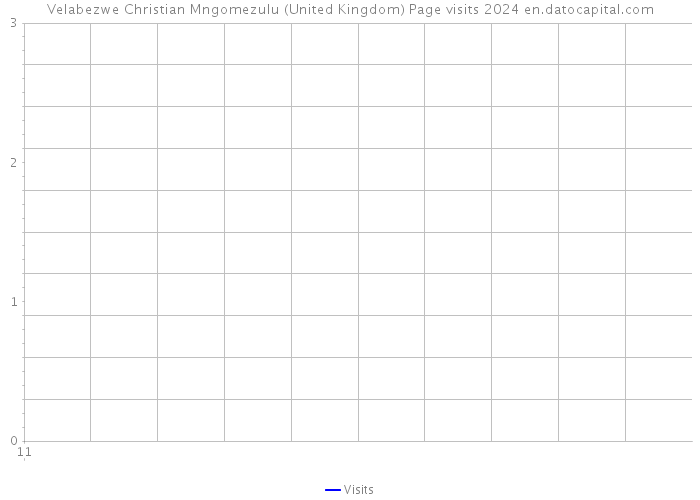 Velabezwe Christian Mngomezulu (United Kingdom) Page visits 2024 