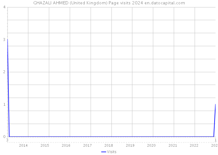 GHAZALI AHMED (United Kingdom) Page visits 2024 