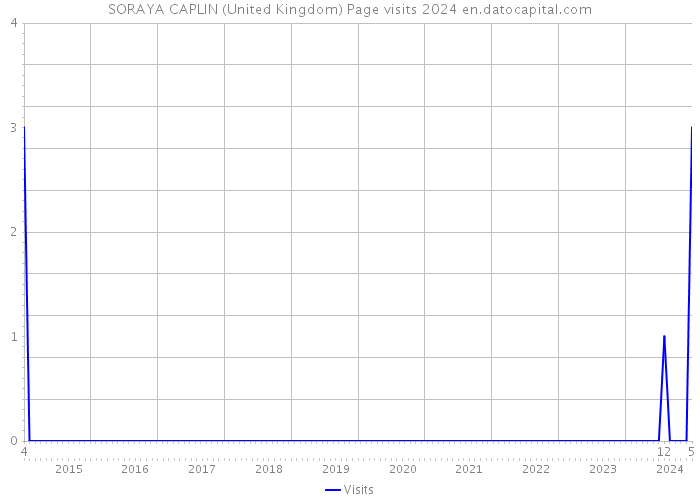 SORAYA CAPLIN (United Kingdom) Page visits 2024 
