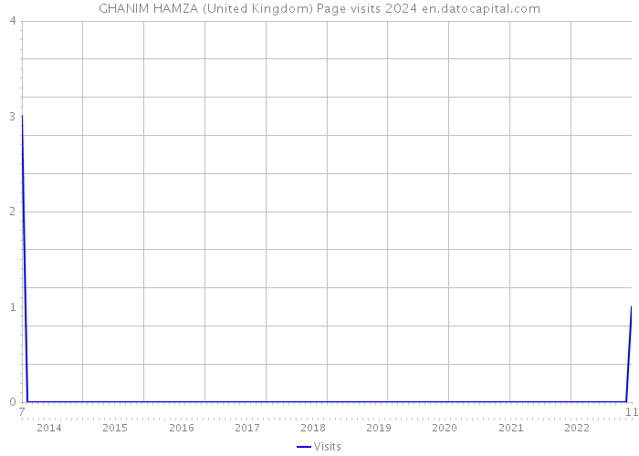GHANIM HAMZA (United Kingdom) Page visits 2024 