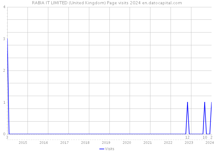 RABIA IT LIMITED (United Kingdom) Page visits 2024 
