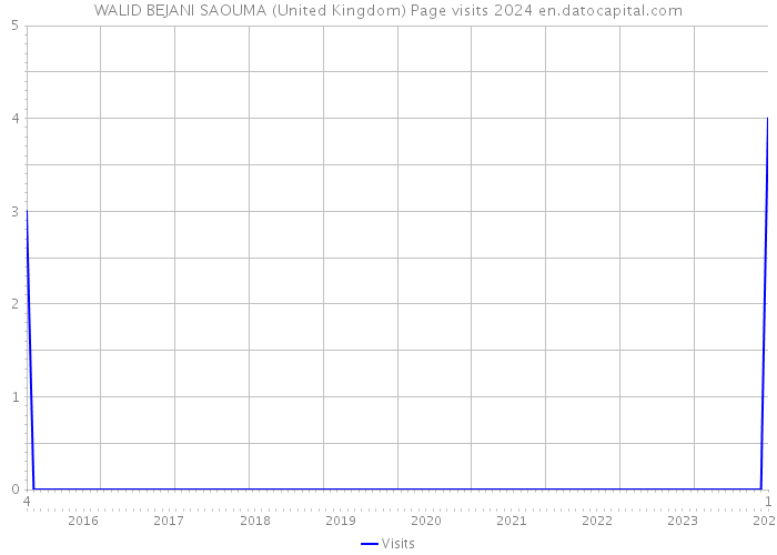 WALID BEJANI SAOUMA (United Kingdom) Page visits 2024 
