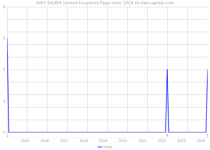 AIDY SALEHI (United Kingdom) Page visits 2024 