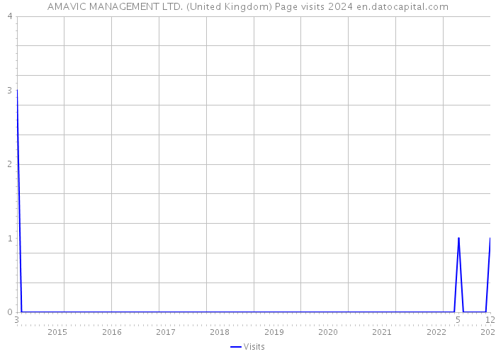 AMAVIC MANAGEMENT LTD. (United Kingdom) Page visits 2024 