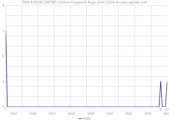 TAM & SONS LIMITED (United Kingdom) Page visits 2024 