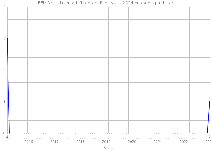 BEINAN LIU (United Kingdom) Page visits 2024 