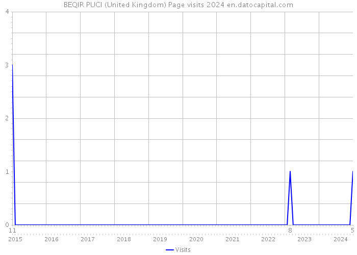 BEQIR PUCI (United Kingdom) Page visits 2024 