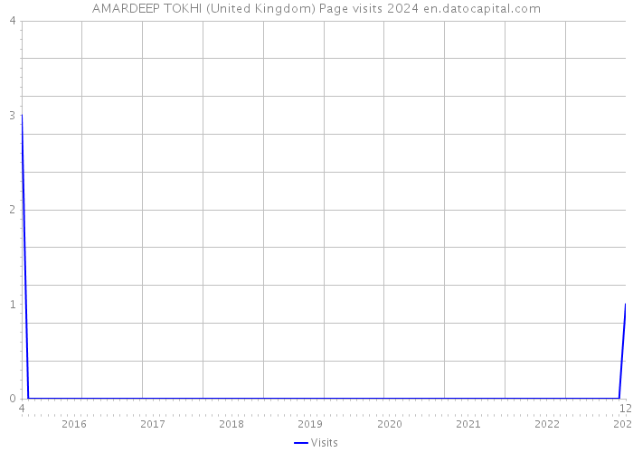 AMARDEEP TOKHI (United Kingdom) Page visits 2024 