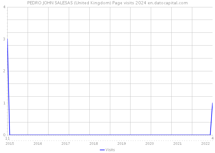 PEDRO JOHN SALESAS (United Kingdom) Page visits 2024 