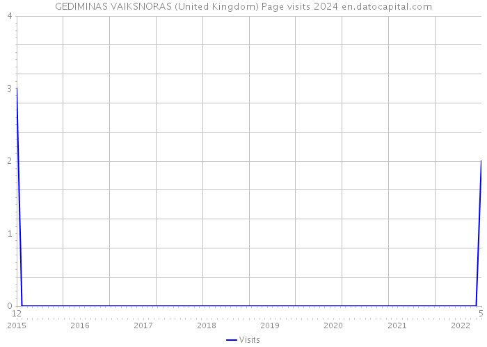 GEDIMINAS VAIKSNORAS (United Kingdom) Page visits 2024 