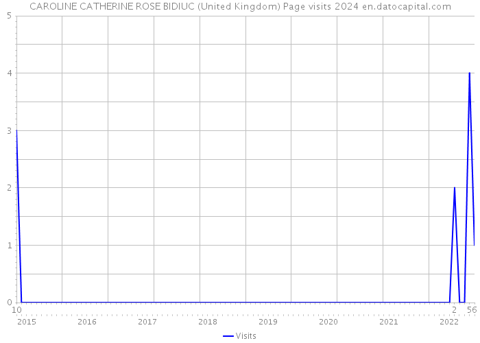 CAROLINE CATHERINE ROSE BIDIUC (United Kingdom) Page visits 2024 