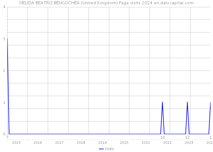 NELIDA BEATRIZ BENGOCHEA (United Kingdom) Page visits 2024 