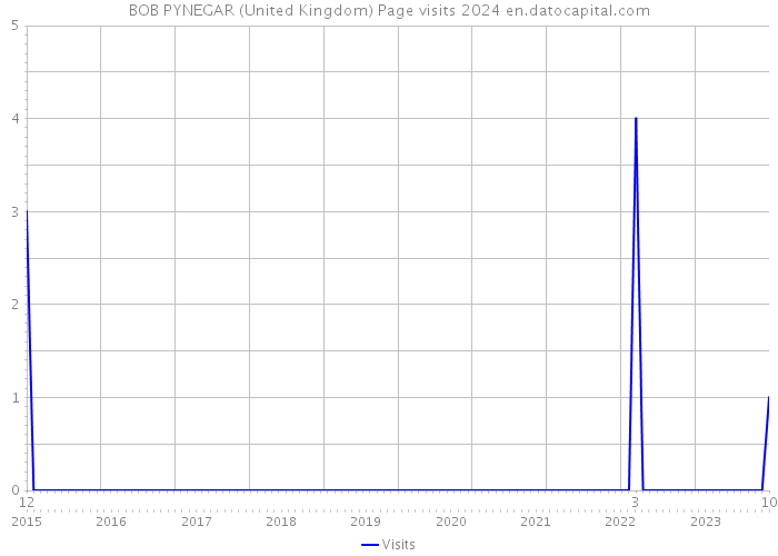 BOB PYNEGAR (United Kingdom) Page visits 2024 