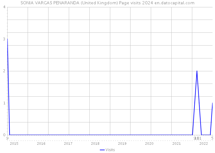 SONIA VARGAS PENARANDA (United Kingdom) Page visits 2024 