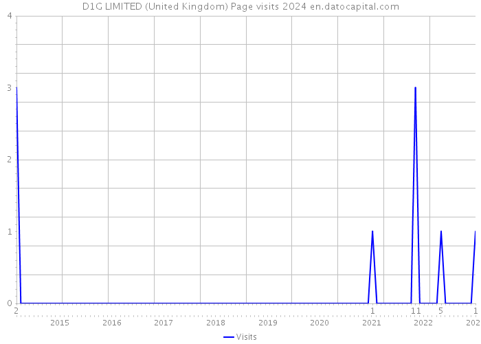 D1G LIMITED (United Kingdom) Page visits 2024 