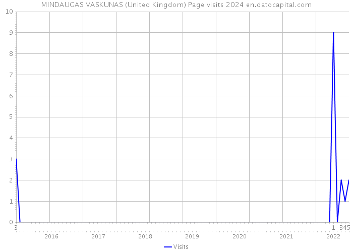 MINDAUGAS VASKUNAS (United Kingdom) Page visits 2024 