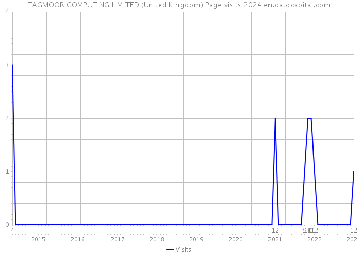 TAGMOOR COMPUTING LIMITED (United Kingdom) Page visits 2024 