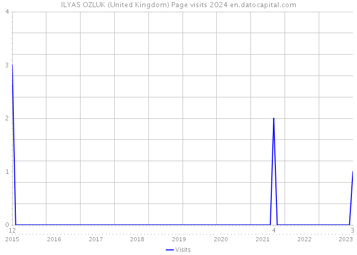 ILYAS OZLUK (United Kingdom) Page visits 2024 