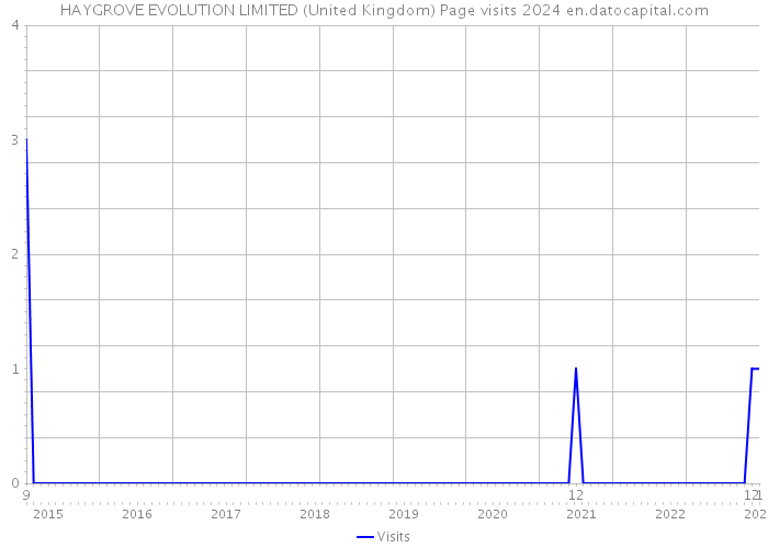 HAYGROVE EVOLUTION LIMITED (United Kingdom) Page visits 2024 