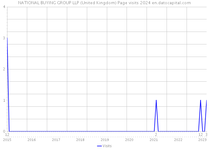 NATIONAL BUYING GROUP LLP (United Kingdom) Page visits 2024 