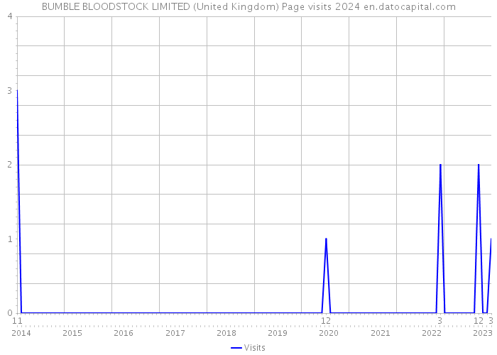 BUMBLE BLOODSTOCK LIMITED (United Kingdom) Page visits 2024 