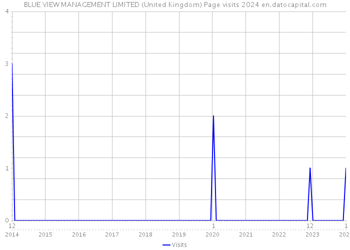 BLUE VIEW MANAGEMENT LIMITED (United Kingdom) Page visits 2024 