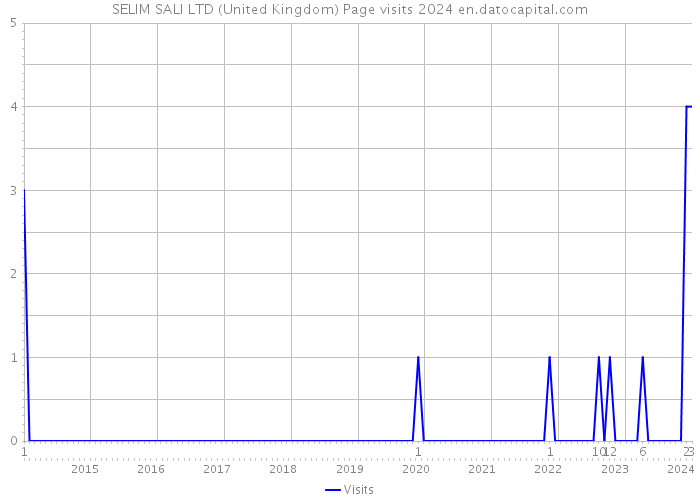 SELIM SALI LTD (United Kingdom) Page visits 2024 