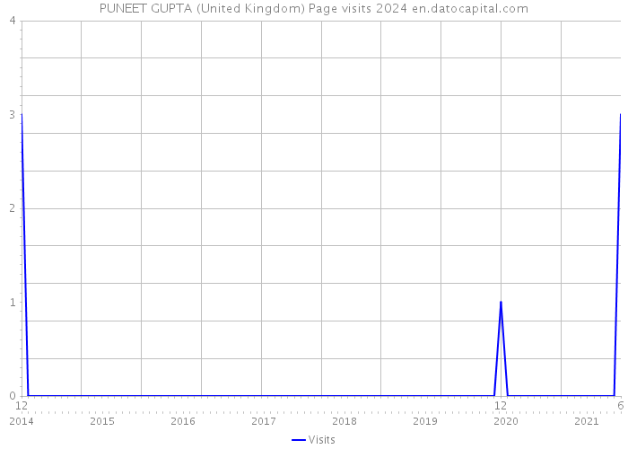 PUNEET GUPTA (United Kingdom) Page visits 2024 