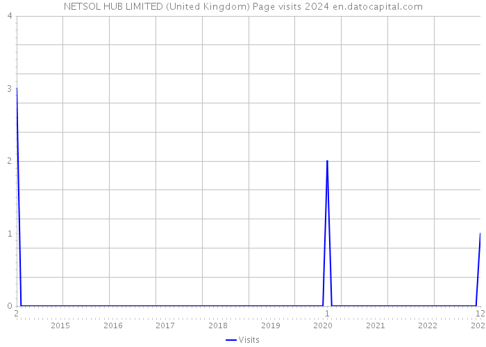 NETSOL HUB LIMITED (United Kingdom) Page visits 2024 