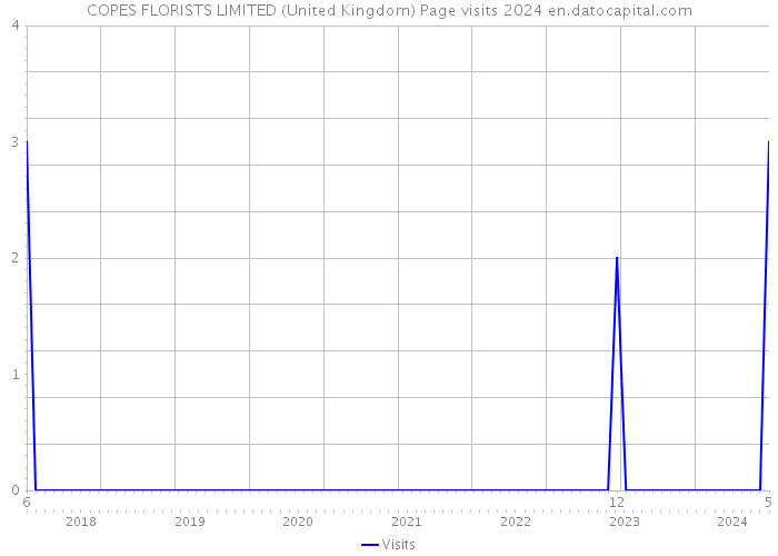 COPES FLORISTS LIMITED (United Kingdom) Page visits 2024 