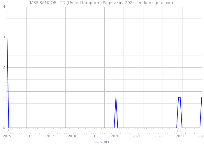 MSR BANGOR LTD (United Kingdom) Page visits 2024 