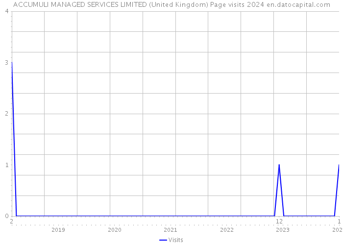ACCUMULI MANAGED SERVICES LIMITED (United Kingdom) Page visits 2024 