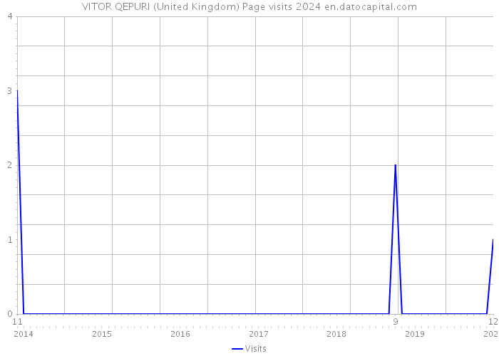 VITOR QEPURI (United Kingdom) Page visits 2024 