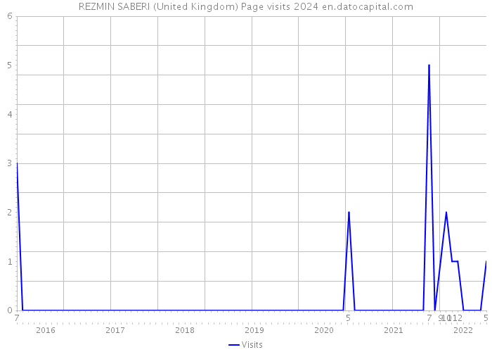 REZMIN SABERI (United Kingdom) Page visits 2024 