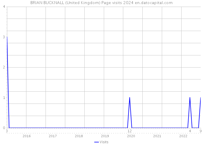 BRIAN BUCKNALL (United Kingdom) Page visits 2024 
