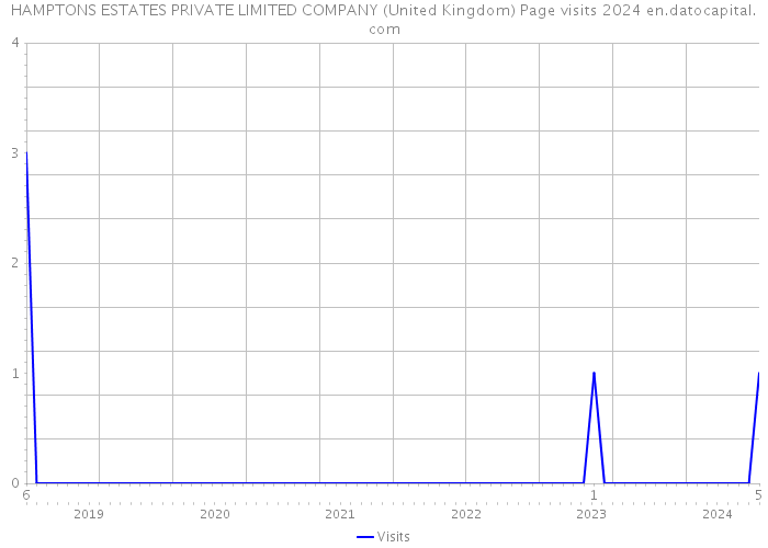 HAMPTONS ESTATES PRIVATE LIMITED COMPANY (United Kingdom) Page visits 2024 