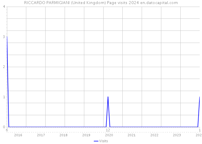 RICCARDO PARMIGIANI (United Kingdom) Page visits 2024 