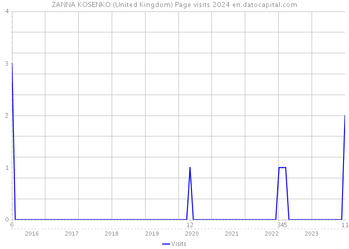 ZANNA KOSENKO (United Kingdom) Page visits 2024 