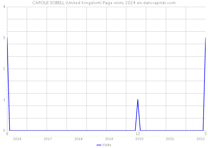 CAROLE SOBELL (United Kingdom) Page visits 2024 