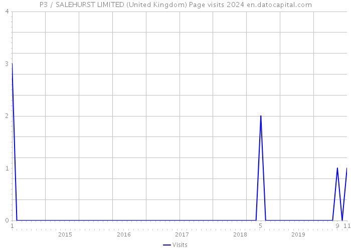 P3 / SALEHURST LIMITED (United Kingdom) Page visits 2024 