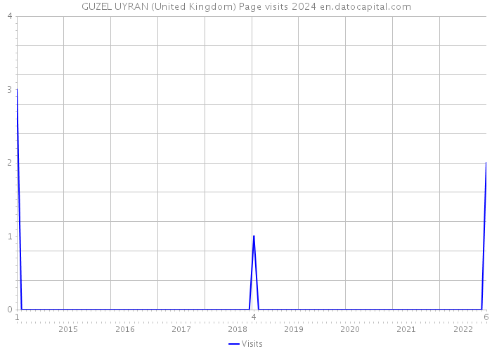 GUZEL UYRAN (United Kingdom) Page visits 2024 