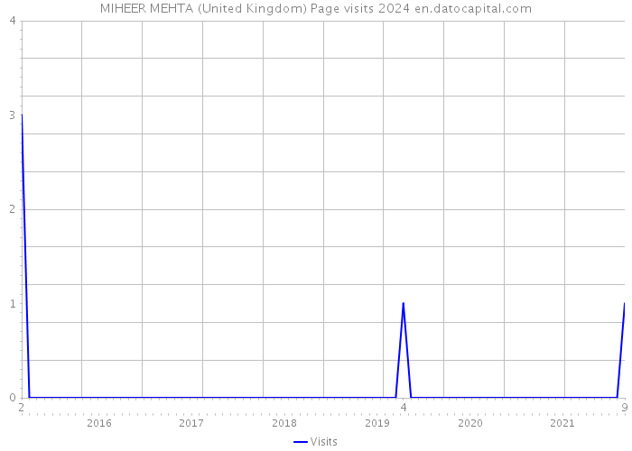 MIHEER MEHTA (United Kingdom) Page visits 2024 