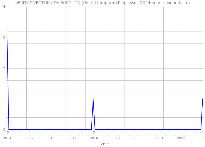 VERITAS VECTOR ADVISORY LTD (United Kingdom) Page visits 2024 