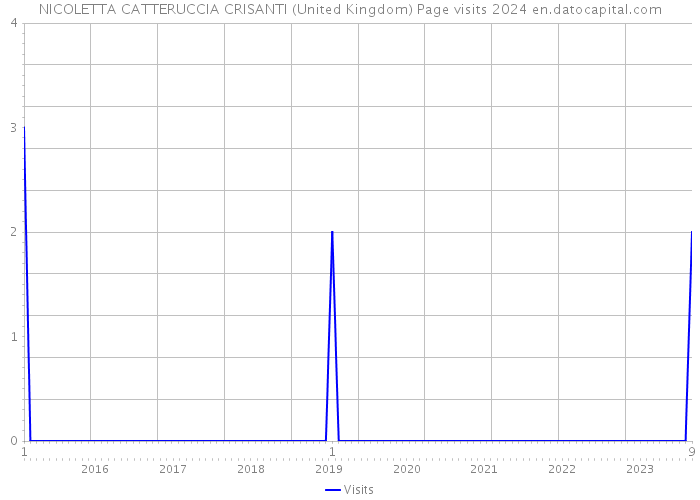 NICOLETTA CATTERUCCIA CRISANTI (United Kingdom) Page visits 2024 