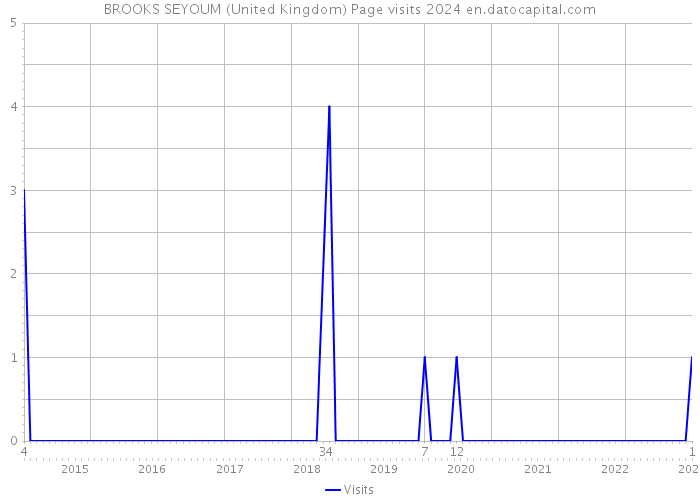 BROOKS SEYOUM (United Kingdom) Page visits 2024 